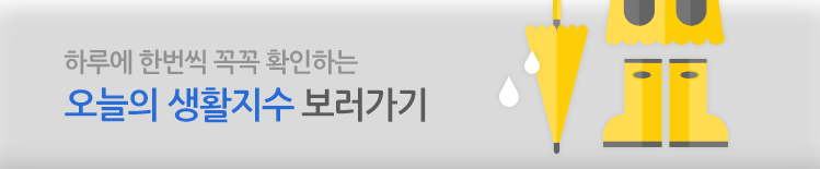 오늘의 생활지수 보러가기