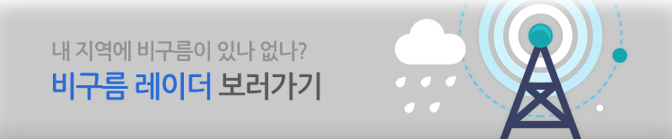 비구름 레이더 보러가기